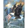 SUN59012 AMERICAN EAGLE, 500, 13