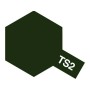 TAM85002 TS-2 DARK GREEN *3