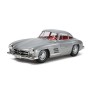 TAM24338 MERCEDES BENZ 300SL 1/24