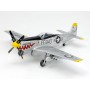 TAM60754 NORTH AMERICAN F-51D MUSTANG K 1/72