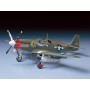 TAM61042 P-51B MUSTANG 1/48