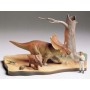 'TAM60101 ''R'' CHASMOSAURUS DIORAMA'