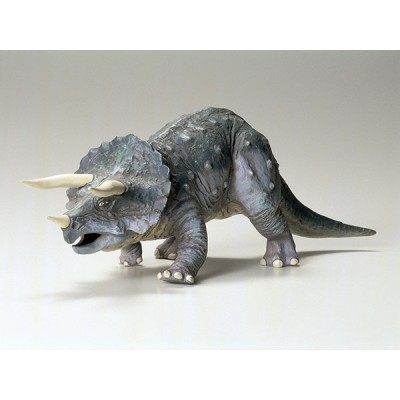 TAM60201 TRICERATOPS EURYCEPHALUS