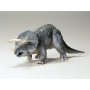 TAM60201 TRICERATOPS EURYCEPHALUS