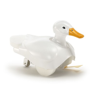 TAM70257 WALKING & SWIMMING DUCK