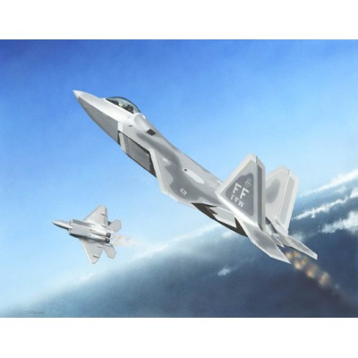 TRU01317 F-22A RAPTOR FIGHTER 1/144