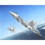 TRU01317 F-22A RAPTOR FIGHTER 1/144