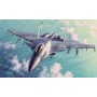 TRU01667 RUSSIAN SU-33 FLANKER D 1/72