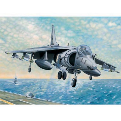 TRU02229 AV-8B HARRIER 11 EARLY VER.ATT.FIGHT 1/32
