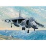 TRU02229 AV-8B HARRIER 11 EARLY VER.ATT.FIGHT 1/32
