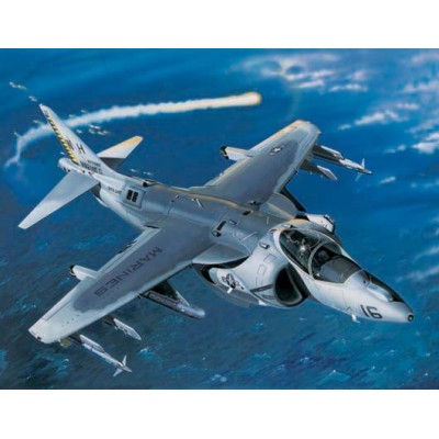 TRU02285 AV-8B HARRIER 11 NIGHT ATTACK 1/32