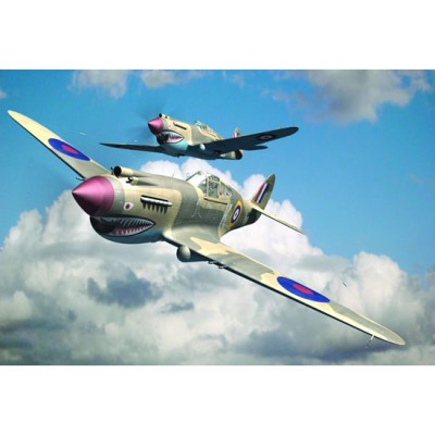 TRU02807 P-40B TOMAHAWK 1/48
