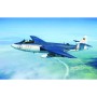 TRU02827 SEAHAWK MK. 100/101 AIRCRAFT 1/48