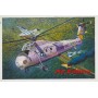 TRU02884 HH-34 USAF COMBAT RESCUE-RE-EDITION 1/48