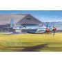 TRU02893 DE HAVILLAND HORNET F-1 1/48