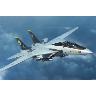 TRU03919 F-14D TOMCAT 1/144