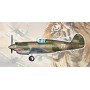 TRU05807 H-81A-2 (AVG) 1/48