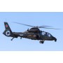 TRU05819 Z-19 LIGHT SCOUT/ATTACK HELICOPTER, 1/48