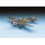 ACA12465 P-40M/N 1/72