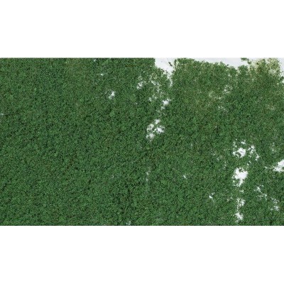 WS53 DARK GREEN FOLIAGE(60 S.I.)