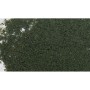 WS54 CONIFER GREEN FOLIAGE(60 S.I.)