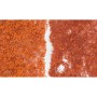 WS56 LATE FALL MIX FOLIAGE(60 SI)