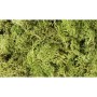WS162 LIGHT GREEN LICHEN (1.5QT/82CI)