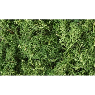 WS163 MEDIUM GREEN LICHEN(1.5QT/82CI)