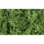 WS163 MEDIUM GREEN LICHEN(1.5QT/82CI)