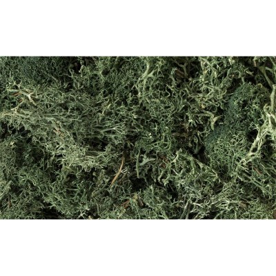 WS164 DARK GREEN LICHEN (1.5QT/82CI)