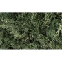 WS164 DARK GREEN LICHEN (1.5QT/82CI)