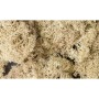 WS166 NATURAL LICHEN(1.5QT/82CI)
