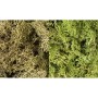 WS167 LIGHT GREEN MIX LICHEN(3QT/165CI)
