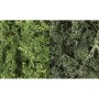 WS168 DARK GREEN MIX LICHEN(3QT/165CI)
