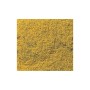 WS176 YELLOW FLOWERING FOLIAGE(100 S.I.)