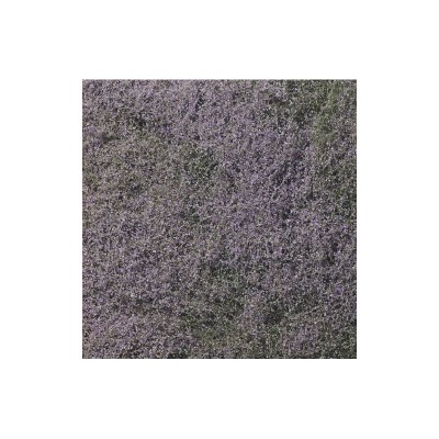 WS177 PURPLE FLOWERING FOLIAGE(100 S.I.)