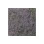 WS177 PURPLE FLOWERING FOLIAGE(100 S.I.)
