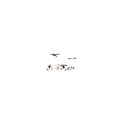 WS1969 HO DUCKS AND SWANS