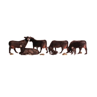 WS2217 N BLACK ANGUS COWS