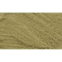 WS4643 POLLEN-gold