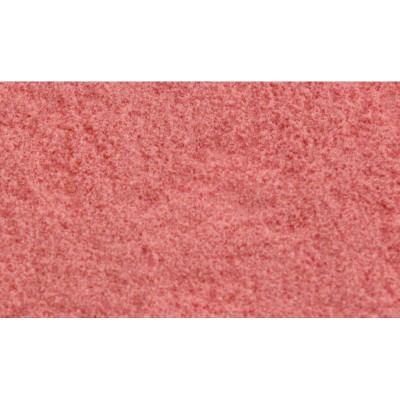 WS4649 POLLEN-pink
