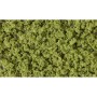 WS135 LIGHT GREEN UNDERBRUSH CLUMP FOL(18CI)