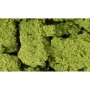 WS57 LT.GREEN FOLIAGE CLUSTERS(45CI)