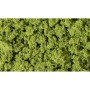 WS682 LIGHT GREEN CLUMP FOLIAGE(1QT/55CI)