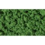 WS683 MED.GREEN CLUMP FOLIAGE(1QT/55CI)