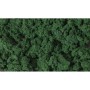 WS684 DK.GREEN CLUMP FOLIAGE(1QT/55CI)