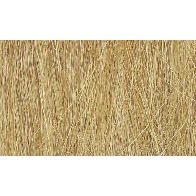 WS172 HARVEST GOLD FIELD GRASS(8GR)