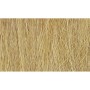WS172 HARVEST GOLD FIELD GRASS(8GR)
