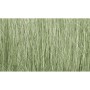 WS173 LIGHT GREEN FIELD GRASS(8GR)