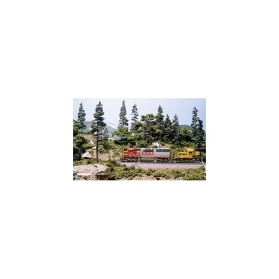 WS953 TREES LEARNING KITS